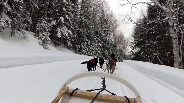 #25. Family Day, Mount Carleton, New Bunswick / День семьи в национальном парке | Отдых в Канаде