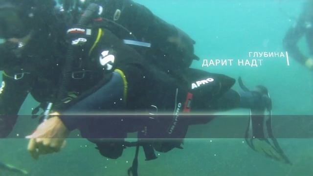 ПРОМО РОЛИК ДАЙВИНГ ДЛЯ ЛИЦ С ОГРАНИЧЕННЫМИ ВОЗМОЖНОСТЯМИ ЗДОРОВЬЯ (ОВЗ) смотреть онлайн