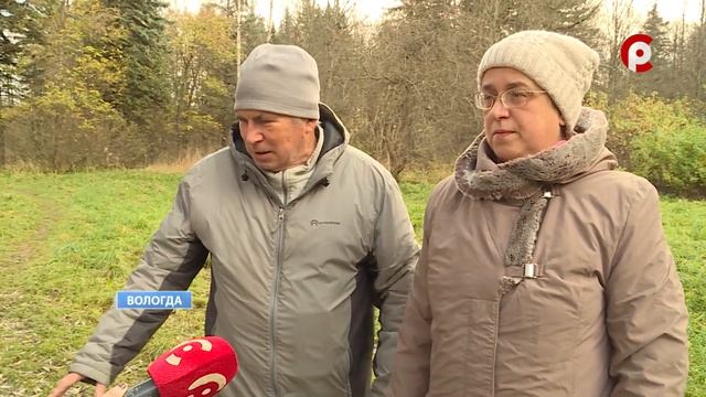 В Вологде благоустроят парк Мира смотреть онлайн