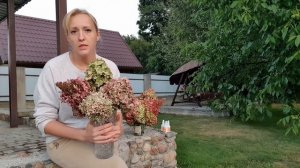 Стабилизируем гортензии!! Шикарные букеты в зимний период обеспечены!