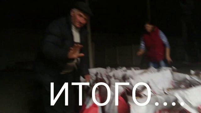 Доставка семян подсолнечника ТОВ АгроЛегион ЛТД, март 2019 смотреть онлайн