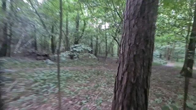Вариант трека на Пикник фестиваль ЭТ смотреть онлайн