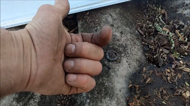 Уборка и блеск домашней гармонии