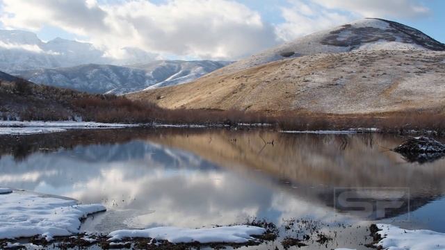 4K Demo: The Most Impressive Video Quality You'll Ever See. 4K Video Ultra HD Resolution Retail Dem