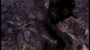 Как вытащить из скважины пластиковые обсадные трубы вручную