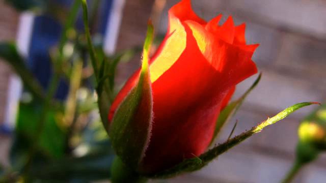Самая новая русская песня и фото в хорошем качестве смотреть онлайн