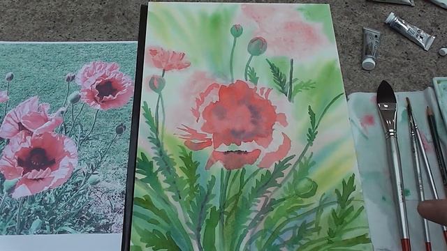 Poppies Coral in Watercolour смотреть онлайн