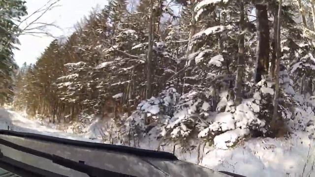 Сахалин.Лесное до перевала... смотреть онлайн