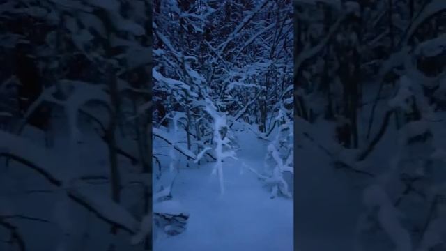 Мотособака балтмоторс с лыжным модулем.