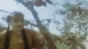 Атиргуллар очди чирой•|•Atirgullar ochdi chiroy