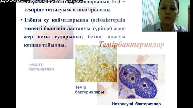 Әзмахан Д. Б.  Хемосинтез  Фотосинтез бен хемосинтез үдерісін салыстыру.