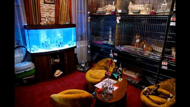 Топ 10 актуальных бизнес идей на 2019 год смотреть онлайн