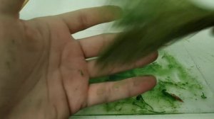Трава для диорамы из Льна