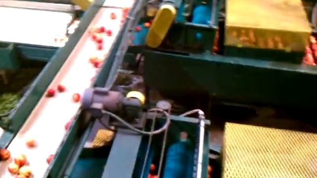 Georgia Peach packing plant смотреть онлайн