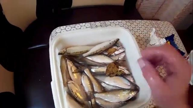 Магия и Фокусы