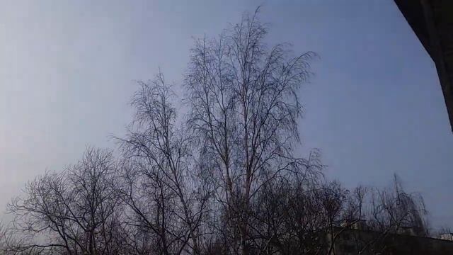 Подарок от волшебника для всех как обещал 13.01 21 год смотреть онлайн