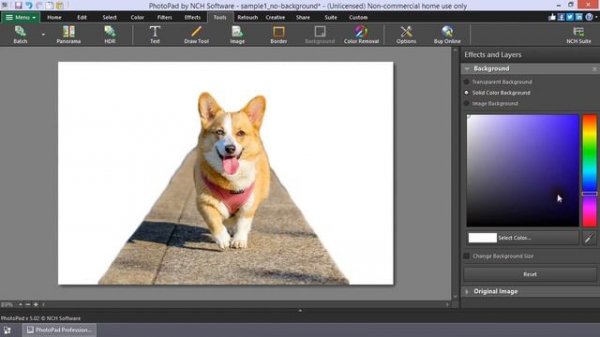 How to Change the Background Layer in Photos | PhotoPad Photo Editing Software Tutorial