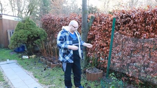 Кислотность почвы.Как раскислить почву.Огород Баварский. смотреть онлайн