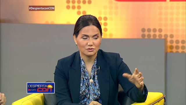 Entrevista César Fernández coordinador de campaña Rescate RD смотреть онлайн