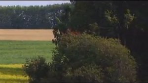 ТЫ ЖИВА ЕЩЕ МОЯ СТАРУШКА