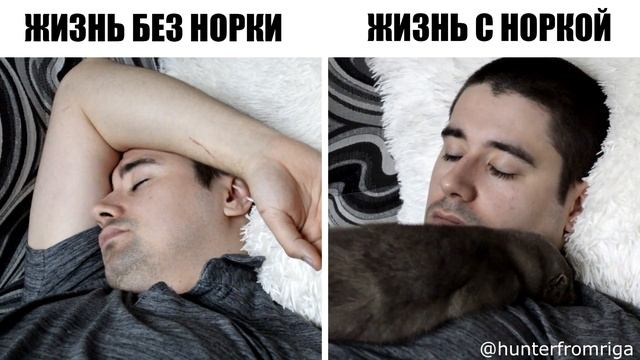 Жизнь С норкой и БЕЗ | Life WITH mink and WITHOUT смотреть онлайн