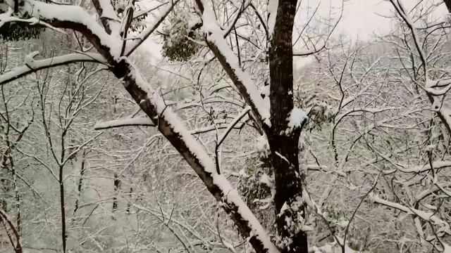 Горячий Ключ в снегу Псекупс Петушок Плющ смотреть онлайн