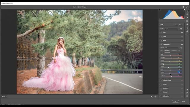 Light  Airy - FREE CAMERA RAW PRESET