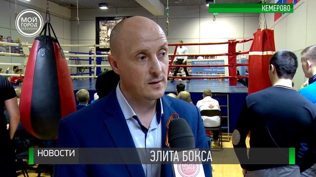 Элита бокса смотреть онлайн