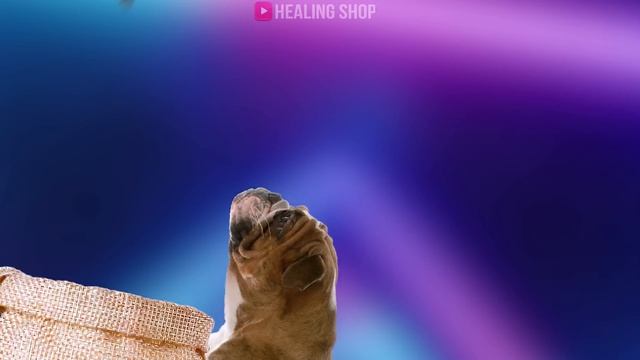 [ASMR]Cool And Clean! Belly Stone Removal, Belly Button Removal Animation Asmr/4k/ 배꼽돌 제거 애니메이션 Asm