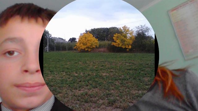 MINI FILM (KING DAN) смотреть онлайн