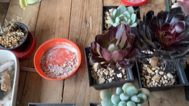 Unboxing смотреть онлайн