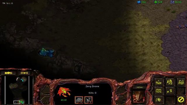 Starcraft Korea Ladder =D wtf смотреть онлайн