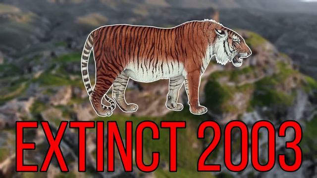 5 Recently Extinct Animals Gone But Not Forgotten смотреть онлайн