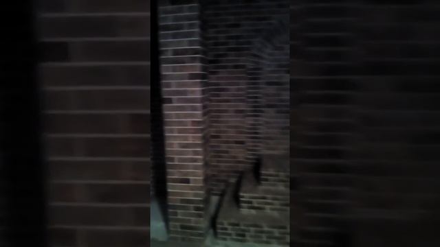 Отделка лоджии декоративным камнем смотреть онлайн