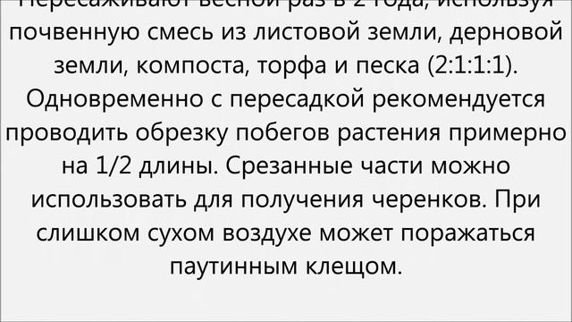 Мединилла уход смотреть онлайн