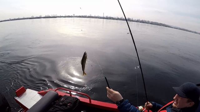 Рыбалка и обзор. NorthSilver 520 Fish с Mercury 80 EFI. Комплект для рыбалки. смотреть онлайн