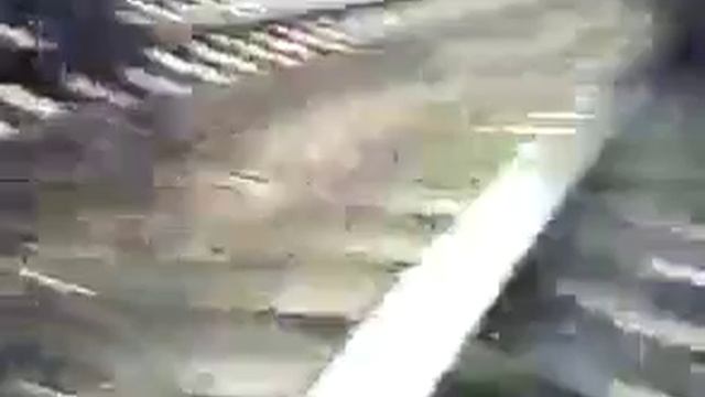 Отдай сало !!!. смотреть онлайн