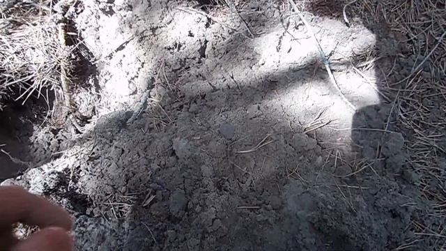 КОП! Елизавета, Александр I, серебро и советики!!! Хорошо покопали! смотреть онлайн