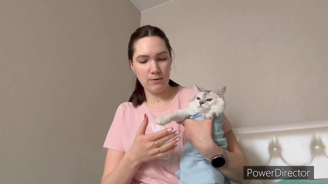 Как постричь когти кошке самостоятельно смотреть онлайн