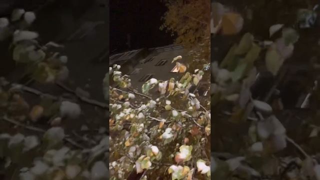 The wenter cam’s смотреть онлайн