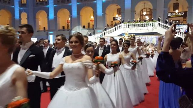 Венский бал 2016 Дебютанты смотреть онлайн