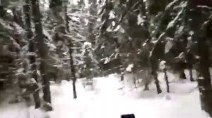 Вездеход привод Ниссан Жук ??