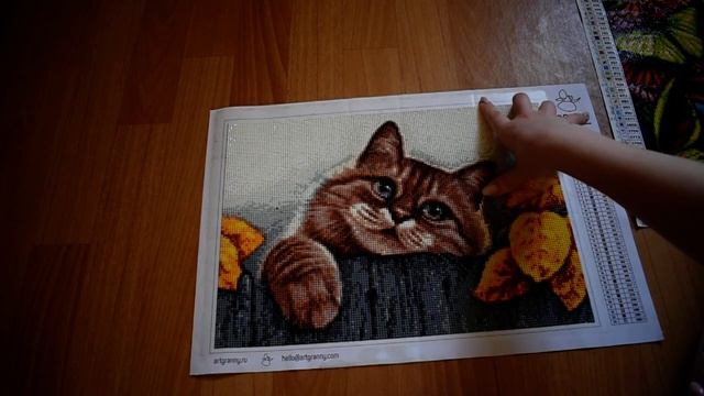 "Яркие бабочки" и "Деревенский кот". Готовые алмазные работы от российских производителей смотреть онлайн