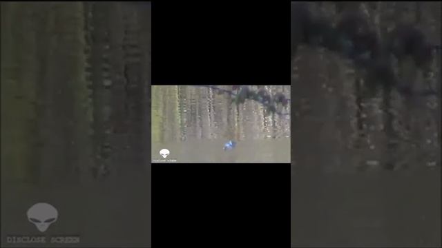 Голубая рыба / Blue fish смотреть онлайн