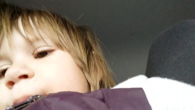 28 ноября 2016 г. смотреть онлайн