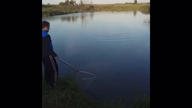 Рыбалка в Тульской области «супер карп» смотреть онлайн