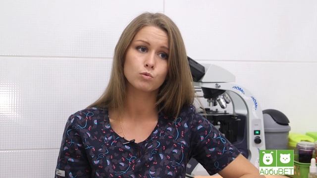 Болезни пожилых кошек. Чего опасаться? смотреть онлайн