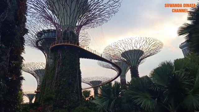 The Gardens By The Bay, A Nature Park Spanning 101 Hectares in Singapore, смотреть онлайн