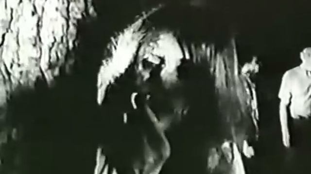 Night of the Day of the Dawn of the Son of the Bride of the Return of the Terror (1991) смотреть онлайн