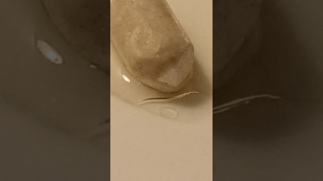 после этого эксперимента вы будете знать то что мел впитывает в себя жидкости смотреть онлайн